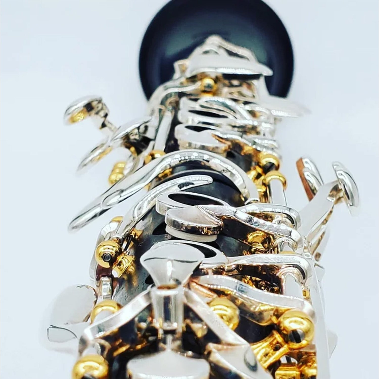 Artistic closeup shot, down the center of the instrument, showcasing the silver and gold mechanism, on a white background